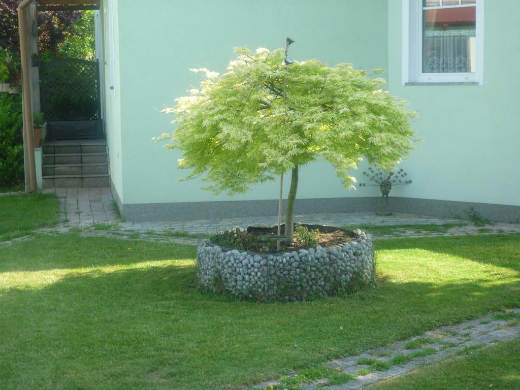 Gartenpension Prosl Bécs Kültér fotó